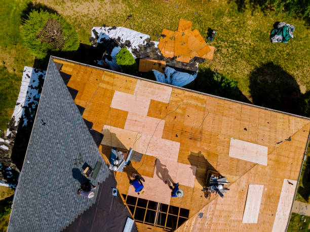 Best Roof Maintenance Services  in Mante, CA